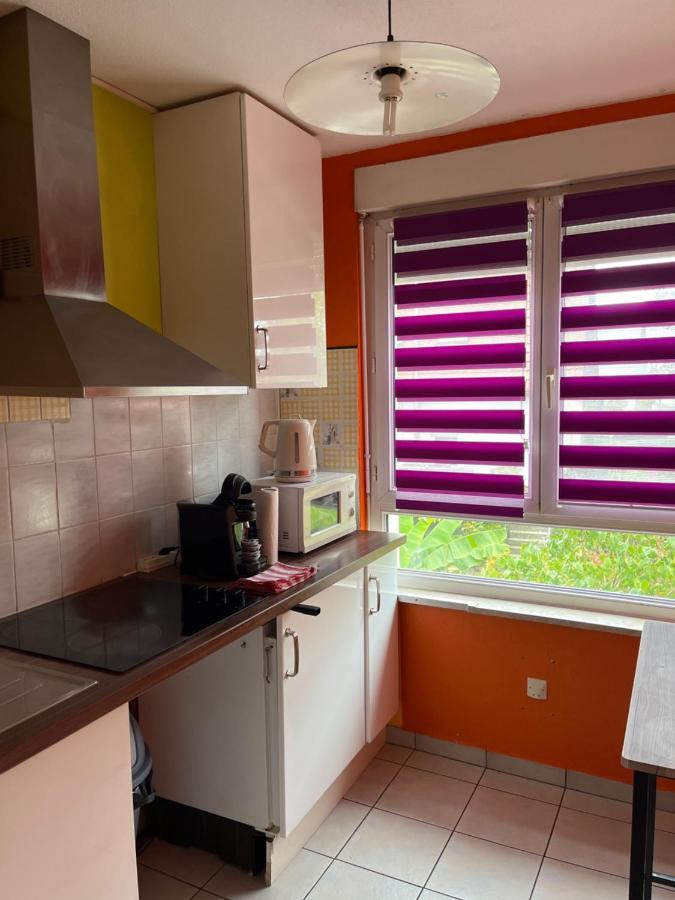 Park Line Garden Appartement Strasbourg